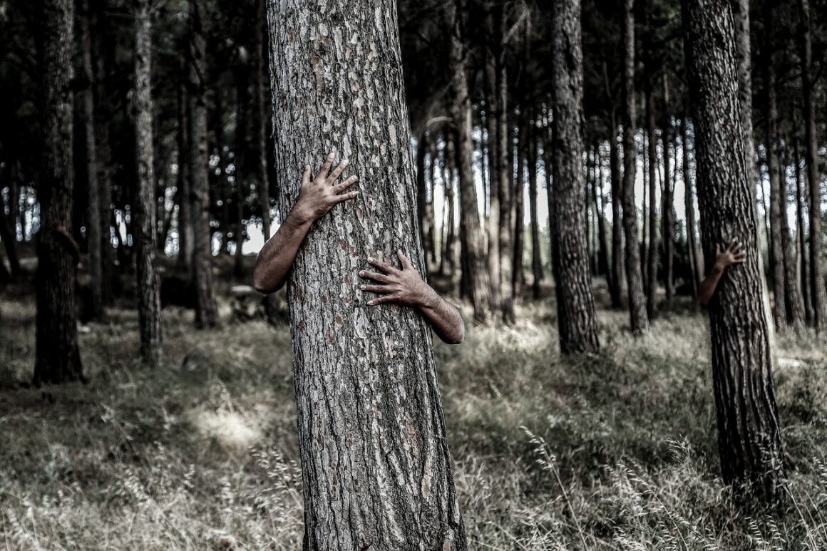 hiding, tree, hands-1379426.jpg